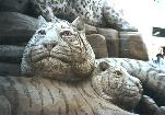 Animal 5