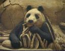 Animal 9