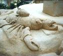 Sealife 8